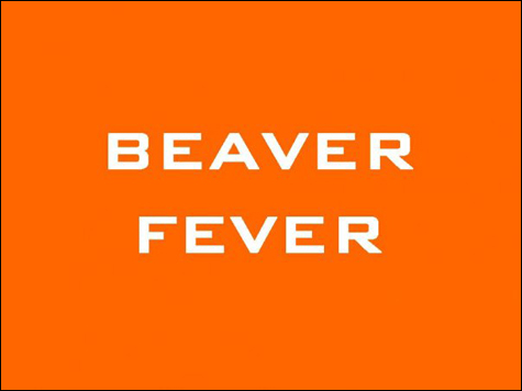 beaverFever[1]inside
